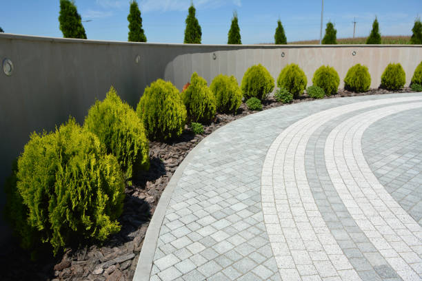 Best Driveway Pavers Near Me  in Brushy Creek, TX